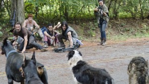 10998408_436465713177080_6982844100990975929_n