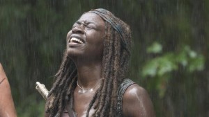 11007750_436464213177230_7394226786308316018_n