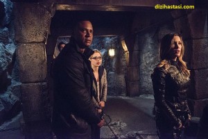 arrow 3x22 (8)