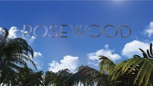 Rosewood Dizi