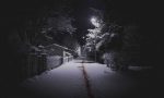 The Valhalla Murders