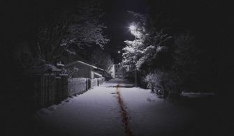 The Valhalla Murders