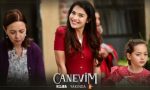 Canevim
