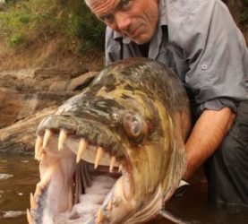 Jeremy-Wade-belgesel